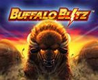 buffalo-blitz